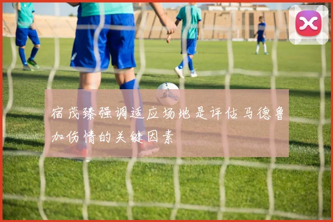 宿茂臻强调适应场地是评估马德鲁加伤情的关键因素